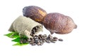 Cocoa pod, Cocoa beans, cocoa powder on a white background. Royalty Free Stock Photo