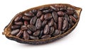 Cocoa pod isolated on white background Royalty Free Stock Photo