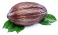 Cocoa pod with cocoa leaves isolated on a white background Royalty Free Stock Photo