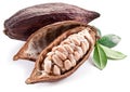 Cocoa pod Royalty Free Stock Photo