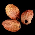 Cocoa pods