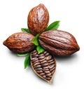 Cocoa pods and cocoa beans -chocolate basis on a white background. Clipping path