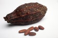 Cocoa pods and beans Royalty Free Stock Photo