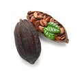 Cocoa pods and beans with leaves on white background Royalty Free Stock Photo