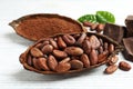 Cocoa pods of beans and powder Royalty Free Stock Photo