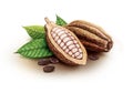 Cocoa pods, cocoa beans and leaves Royalty Free Stock Photo