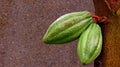 Cocoa pods