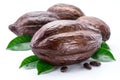 Cocoa pods with cocoa leaves isolated on a white background