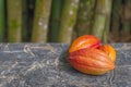 Cocoa pods still life close up whole organic marble top