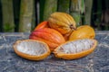 Cocoa pods still life close up whole organic marble top