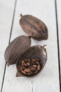 Cocoa Pods On White Wooden Table Royalty Free Stock Photo