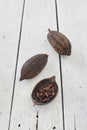 Cocoa Pods On White Wooden Table Royalty Free Stock Photo