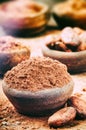 Cocoa powder and beans Royalty Free Stock Photo