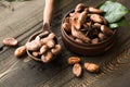 Cocoa powder and cacao beans on wooden background. Dark chocolate pieces crushed and aromatic herbs . Royalty Free Stock Photo