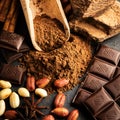 Cocoa powder, chocolate, nuts and spices Royalty Free Stock Photo