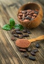 Cocoa powder and cocoa beans