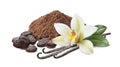 Cocoa powder, roasted beans and vanilla with flower isolated on white background Royalty Free Stock Photo