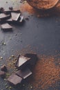 Cocoa powder in a sieve over black slate background Royalty Free Stock Photo