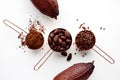 Cocoa beans, cacao nips, cocoa powder and cocoa pods