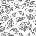 Cocoa seamless pattern. Art line vector. Organic