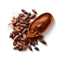 Cocoa seeds, cocoa powder and a teaspoon, isolated on white background. Royalty Free Stock Photo