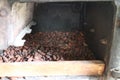 Cocoa seeds in a dehumidifier