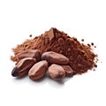 Cocoa seeds and cocoa powder, isolated on white background.
