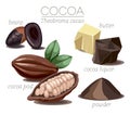 Cocoa