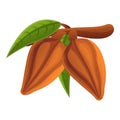 Cocoa tree branch icon, cartoon style Royalty Free Stock Photo