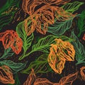 Cocoa tropical seamless pattern. Vector background Royalty Free Stock Photo