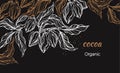 Cocoa. Vector design. Tropical template