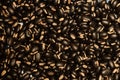 Cocoa Zinho coffee beans Royalty Free Stock Photo