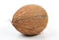 Cocoanut on white Royalty Free Stock Photo