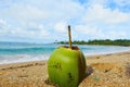 Green coconutnon the beach Royalty Free Stock Photo