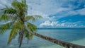 Coconat Palm on the Beach of Kri Island. Gam in Background. Raja Ampat, Indonesia, West Papua