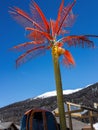 Coconat palm tree plastic in the Italian mountains