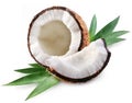 Coconut Royalty Free Stock Photo