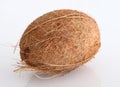 Coconut Royalty Free Stock Photo