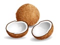 Coconut