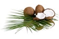 Coconut Royalty Free Stock Photo