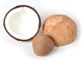 Coconut