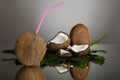 Coconut Royalty Free Stock Photo