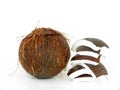 Coconut