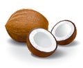 Coconut