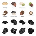 Coconut, acorn, sunflower seeds, manchueian walnut.Different kinds of nuts set collection icons in black,cartoon style