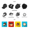 Coconut, acorn, sunflower seeds, manchueian walnut.Different kinds of nuts set collection icons in black, flat