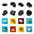 Coconut, acorn, sunflower seeds, manchueian walnut.Different kinds of nuts set collection icons in black,flet style