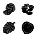 Coconut, acorn, sunflower seeds, manchueian walnut.Different kinds of nuts set collection icons in black style vector