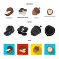 Coconut, acorn, sunflower seeds, manchueian walnut.Different kinds of nuts set collection icons in cartoon,black,flat