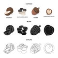 Coconut, acorn, sunflower seeds, manchueian walnut.Different kinds of nuts set collection icons in cartoon,black,outline